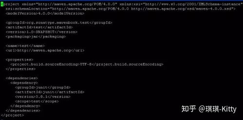 現(xiàn)代互聯(lián)網(wǎng)公司Java后端開發(fā) 核心工具、技術(shù)棧與網(wǎng)絡(luò)實(shí)踐全景